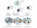 Thumbnail for version as of 00:42, 4 April 2025